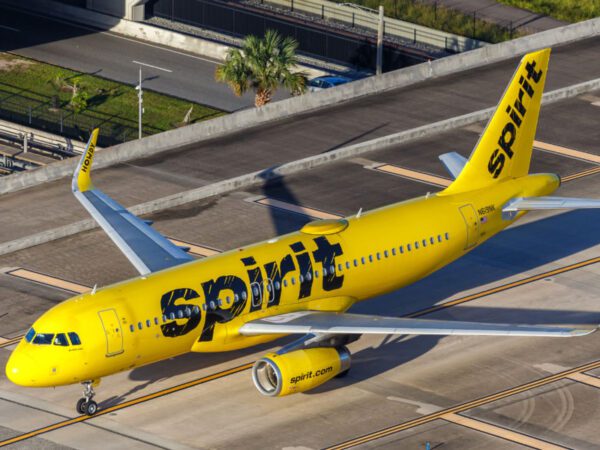 Spirit Airlines halts all flights