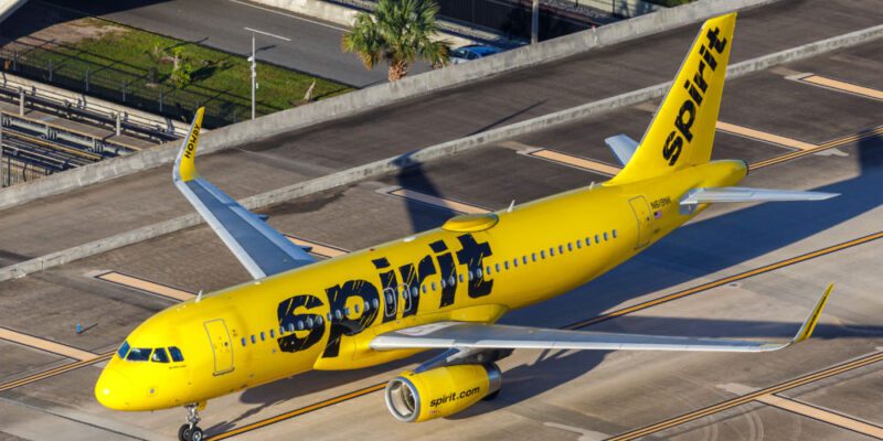 Spirit Airlines halts all flights