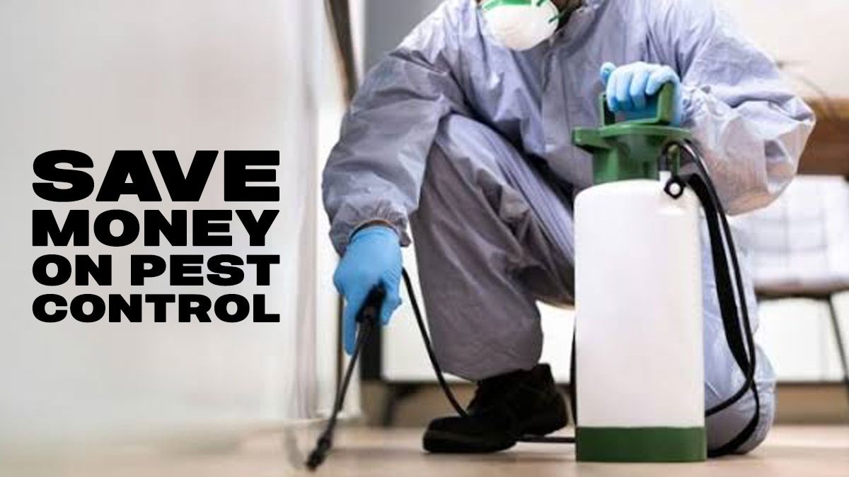 save money on pest control