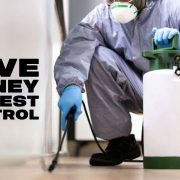 save money on pest control