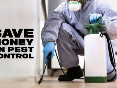 save money on pest control