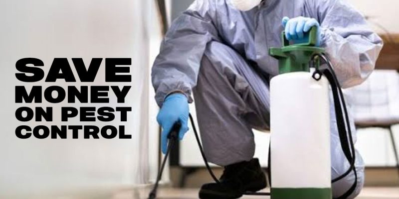 save money on pest control