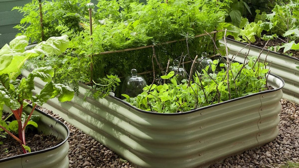save money on garden and outdoor