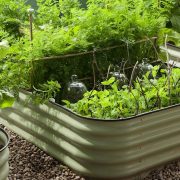save money on garden and outdoor