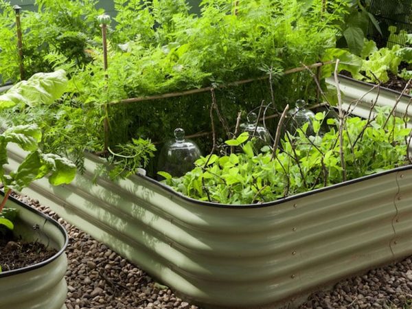 save money on garden and outdoor