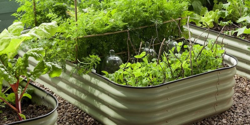save money on garden and outdoor